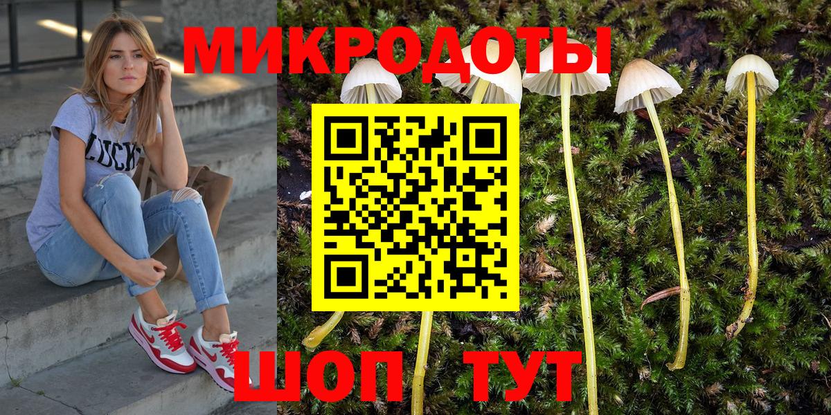 как найти   Галлюциногенные грибы Psilocybe  Вход с VPN  Кольчугино 