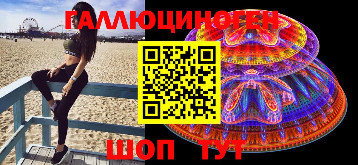 Псилоцибиновые грибы Psilocybine cubensis Кольчугино